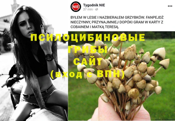 прущая мука Чердынь