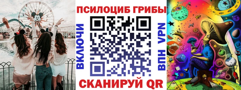 купить цена Владимир Галлюциногенные грибы мухоморы