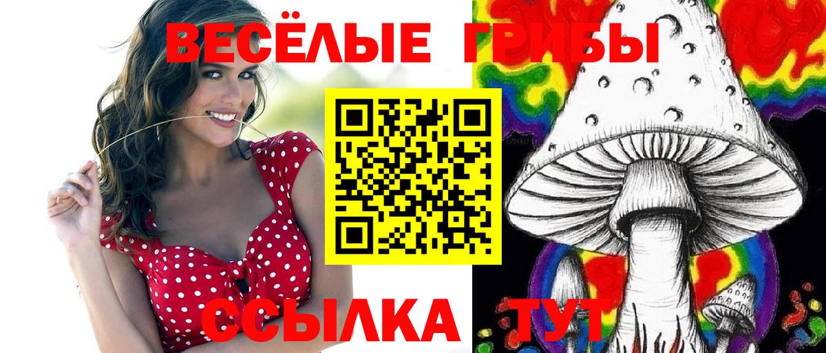 Псилоцибиновые грибы прущие грибы Владимир