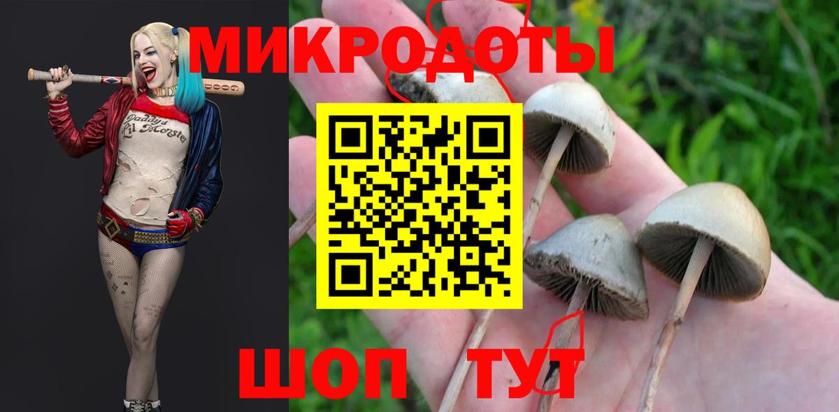 Псилоцибиновые грибы мицелий  закладка  Псилоцибиновые грибы Cubensis  Владимир  Вход с VPN 