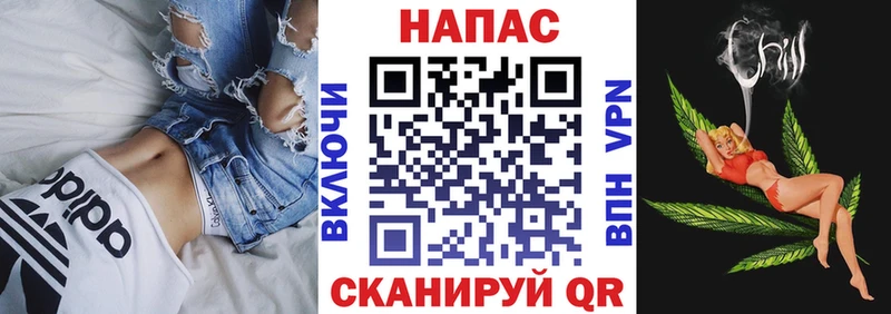 kraken онион  Владимир  Каннабис планчик 